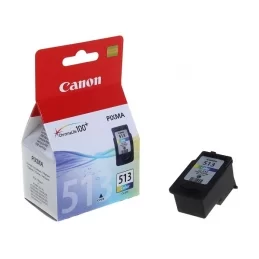 Cartuccia Originale Canon CL-513 Colore 