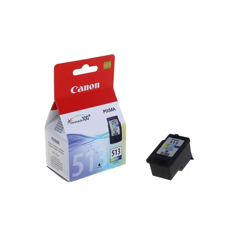 Cartuccia Originale Canon CL-513 Colore 