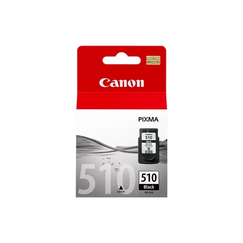 Cartuccia Originale Canon PG-510 Nero 