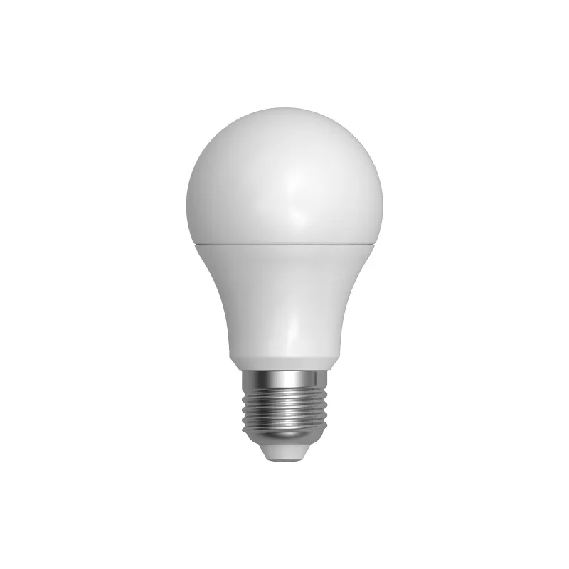 SKYLIGHTING LAMPADINA LED E27 10W BULB A60 