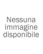 Incisivi Superiori